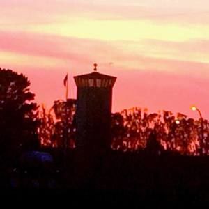 Meet your Posher, Jeffrey